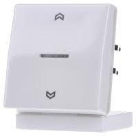 FM AS 5232 WW  - Roller shutter control surface mounted FM AS 5232 WW