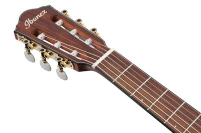 Ibanez FRH10N Rose Gold Metallic Flat elektrisch-akoestische klassieke gitaar - thumbnail