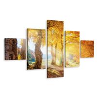 Schilderij - Herfst in het bos, 5luik, premium print - thumbnail