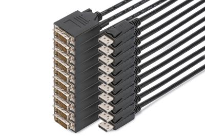 Digitus AK-990900-020-S DisplayPort-kabel Adapterkabel DisplayPort-stekker, DVI-D 24+1-polige stekker 2.00 m Zwart Digitus AK-990900-020-S DisplayPort-kabel Adapterkabel DisplayPort-stekker, DVI-D 24+1-polige stekker 2.00 m Zwart