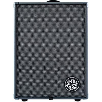 Darkglass Infinity 500 Combo 210 basgitaarversterker