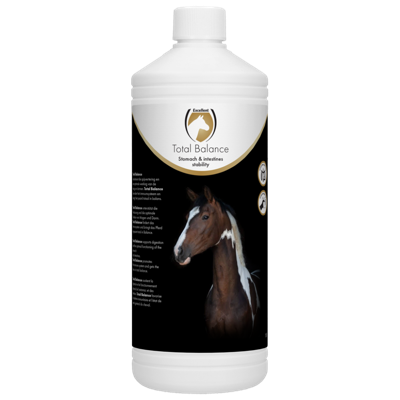 Excellent Equi Balance horse