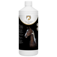 Excellent Equi Balance horse - thumbnail