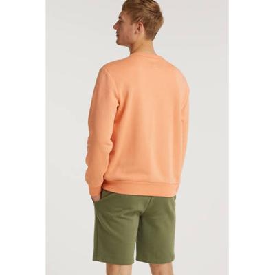 GAP regular fit sweatshort desert cactus GAP regular fit sweatshort desert cactus
