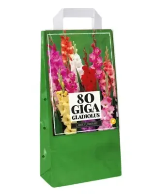 JUB Tas 80 Gladiolus mix