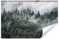 Fotobehang - Bos in de mist , premium print, inclusief behanglijm - thumbnail