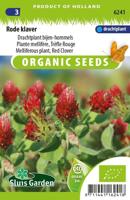 Rode klaver drachtplant zaden - thumbnail