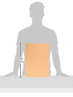 Clairefontaine Trophée Pastel, gekleurd papier, A3, 120 g, 250 vel, abrikoos