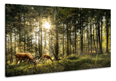 Schilderij -Herten in het Bos, 100x70cm. Premium print