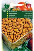 Stambonen Bruine Noordhollandse, 100 gram - thumbnail