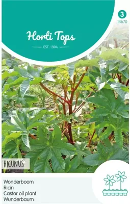 Zaden Ricinus Wonderboom gemengd Hortitops - Hortitops