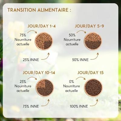 Nutrivet Inne Cat Adult kip kattenvoer 2 x 6 kg - thumbnail