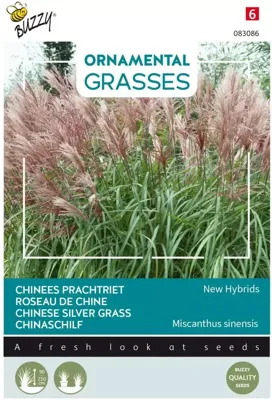 Ornamental Grasses Miscanthus sinensis Neue Hybriden zaden Buzzy - Buzzy
