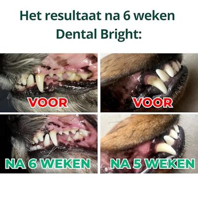 Dogsuppy Dental Bright Poeder Dogsuppy Dental Bright Poeder
