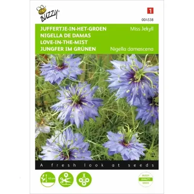 Nigella, Juffertje-in-het-groen Miss Jekyll blauw
