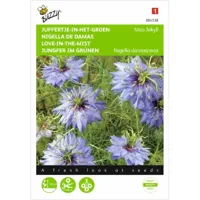 Nigella, Juffertje-in-het-groen Miss Jekyll blauw - thumbnail