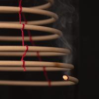 Esschert Design Citronella spiraal - thumbnail