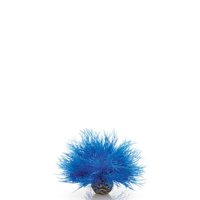 BiOrb zeelelie blauw aquarium decoratie