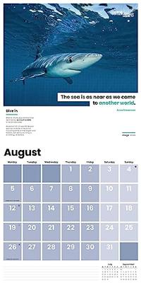 Sea Change Kalender 2024 Sea Change Kalender 2024