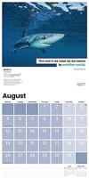 Sea Change Kalender 2024 - thumbnail
