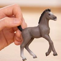 Schleich horse club francais veulen 13957 - thumbnail
