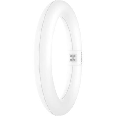 LEDVANCE LED-buis-Globe Energielabel: E (A - G) G10q 11 W Daglichtwit 1 stuk(s) (Ø x l) 212.00 mm x 212.00 mm LEDVANCE LED-buis-Globe Energielabel: E (A - G) G10q 11 W Daglichtwit 1 stuk(s) (Ø x l) 212.00 mm x 212.00 mm