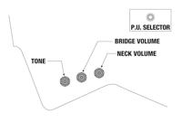 Ibanez Paul Stanley Signature PS60 Black met gigbag - thumbnail