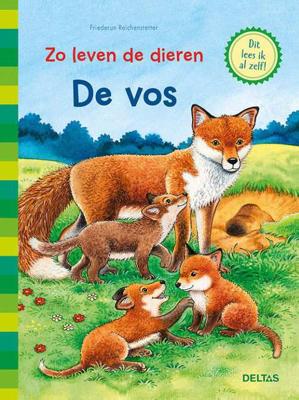 De vos - Friederun Reichenstetter - Hardcover (9789044754209)