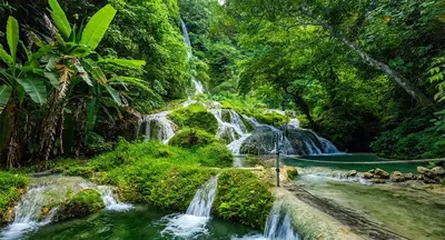 Alexsar Art Tuinschilderij waterval 130x70cm