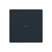 Busch-Jaeger 2CKA006220A0498 Afdekking 1-voudig free@home Diepzwart (RAL 9005), Zwart 1 stuk(s) - thumbnail