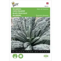 Zaden Palmkool Nero di Toscana Buzzy - Buzzy - thumbnail