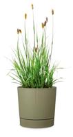 Ronde bloempot met waterreservoir - GARDEN ID - Lino - Ø 39 - 32 L - H 38 cm - Mosgroen - thumbnail