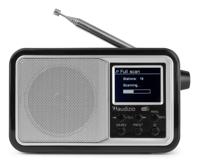 Audizio Parma draagbare DAB radio met Bluetooth en FM radio - Zilver - thumbnail