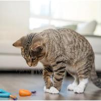 Petstages catnip dental health chew - thumbnail
