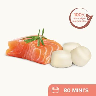 Beaphar Schapenvet Mini bonbons met zalm voor de hond 2 verpakkingen