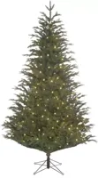 Frasier Kerstboom inclusief led d124 x h185cm - thumbnail