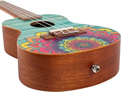 Flight Art Series AUC-33 Mansion concert ukelele met gigbag