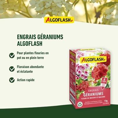 Geraniummeststoffen, bloemen van bedden en balkons - Algoflash Naturasol - 1 kg