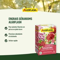 Geraniummeststoffen, bloemen van bedden en balkons - Algoflash Naturasol - 1 kg - thumbnail