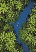 Clementoni legpuzzel tropical aerial, 500st. - thumbnail