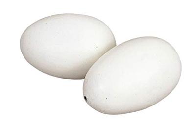 Kerbl Nesteieren van hout v kippen 2 st pak