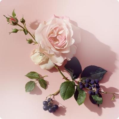 Elie Saab Girl of Now Forever Eau de Parfum 50ml