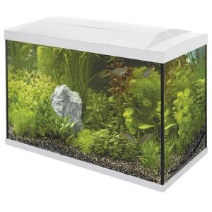Superfish Start 70 tropical kit wit