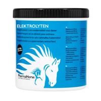 Elektrolyten paard 200 gram - thumbnail