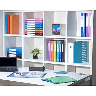 Exacompta ringmap, voor ft A4, uit ondoorschijnend PP,4 ringen van 15mm,geassorteerde kleuren