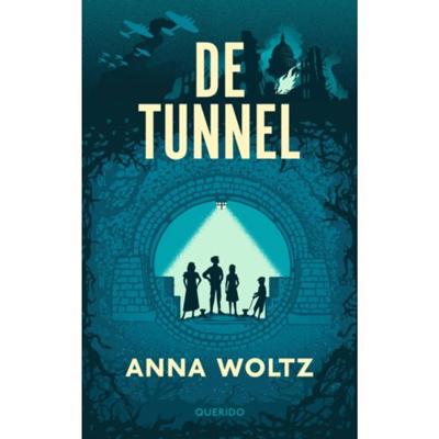 De tunnel (Paperback)
