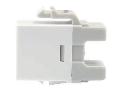 Equip 769213 keystonemodule