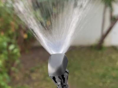 Lepelstruik Lepelstruik