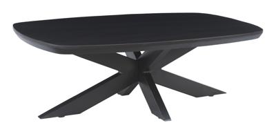 Livingfurn Salontafel 'Jesper' Mangohout, 120 x 75cm, kleur Zwart