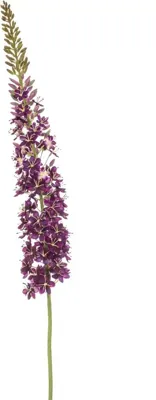 Emerald kunsttak eremurus 130cm paars